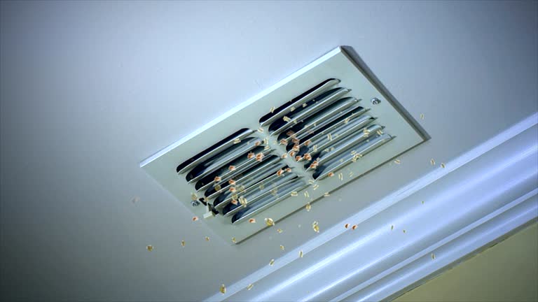 Best Residential Air Duct Cleaning  in Junction, TX