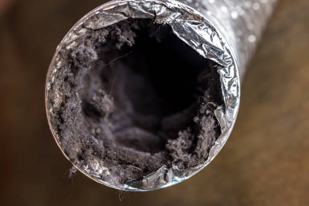 Best Affordable Air Duct Cleaning  in Junction, TX